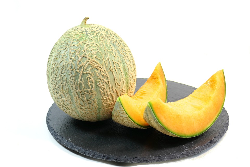 Agar Cepat Berbuah Yuk Simak Cara Merawat Tanaman Melon Trikmerawat Com